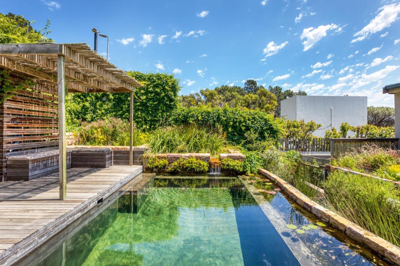 Solar-Powered Mountain Retreat With Natural Pool Cape Town Exterior foto